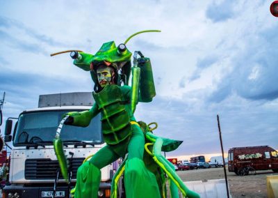 Mantis